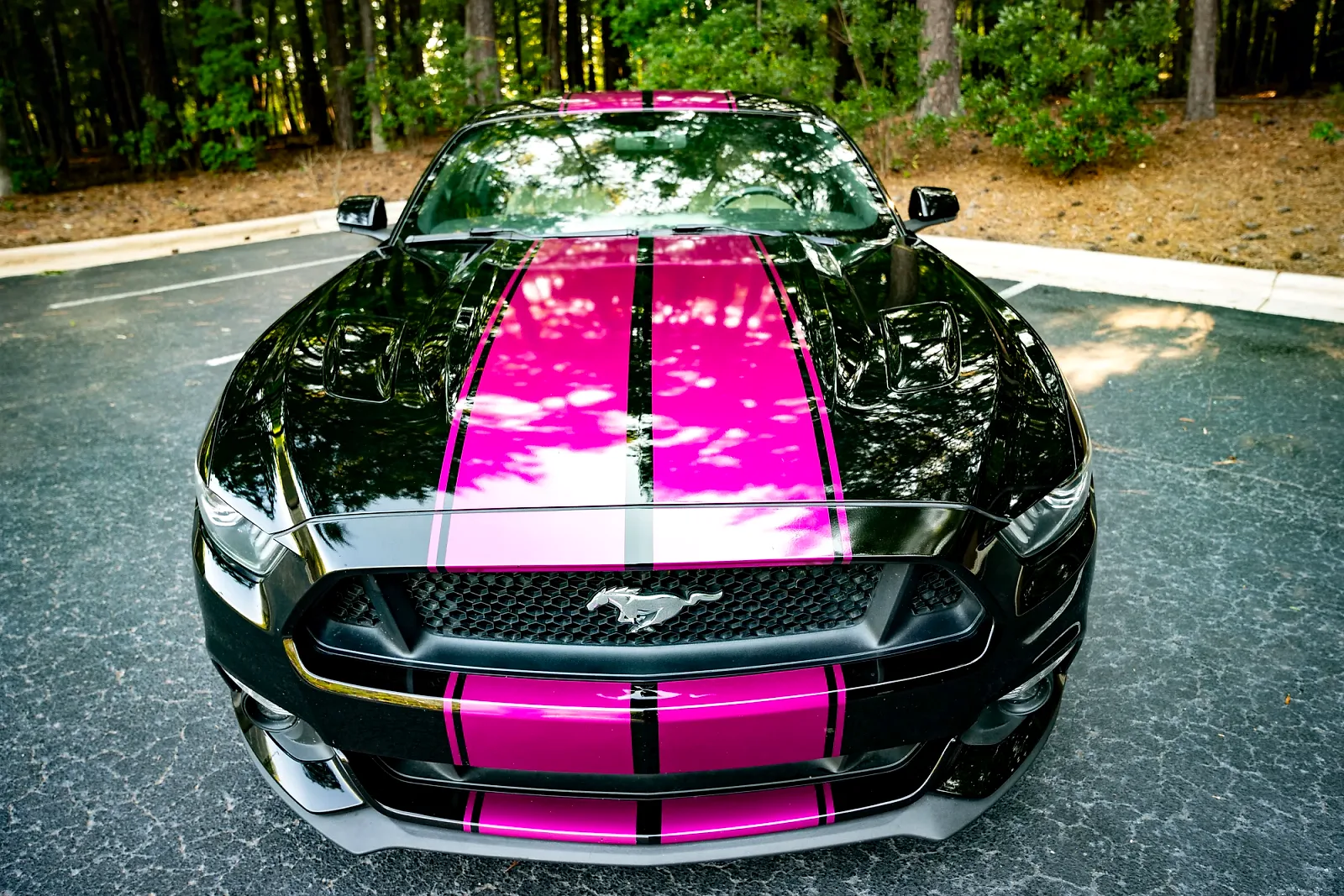 2015 Ford Mustang - Photo 2